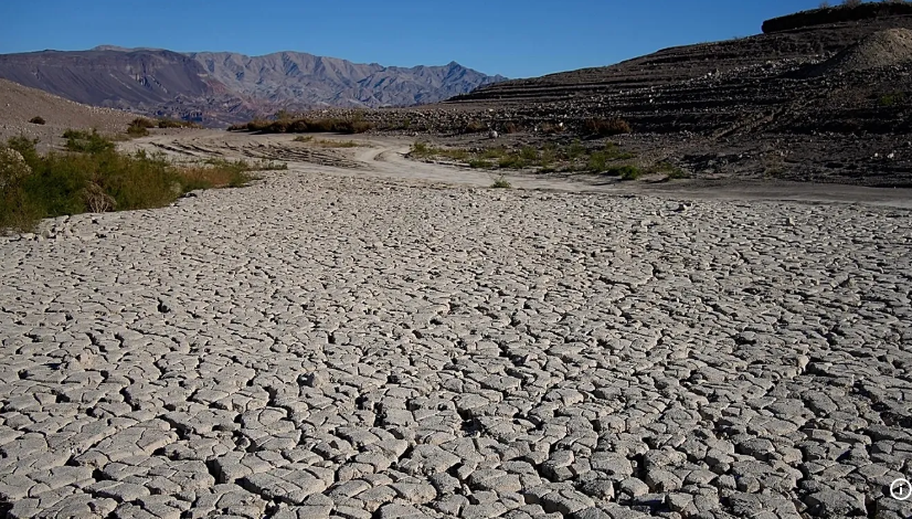 Drought is fuelling antibiotic resistance worldwide, study finds