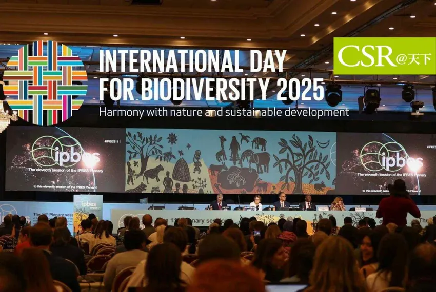 生物多樣性成為 ESG 新顯學！TNFD 與 TCFD 整合將成 2026 企業揭露新常態